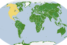 coyote_webRangeMaps
