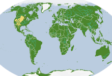pronghorn_webRangeMaps
