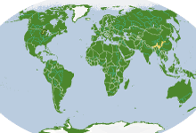 takin_webRangeMaps
