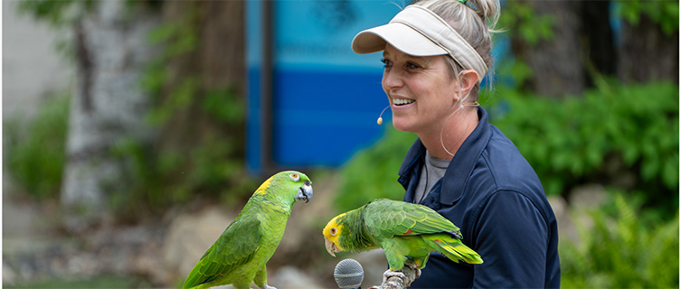 birdshow2