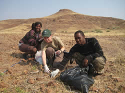 mountain-zebra-dung-collection_Tara-Harris