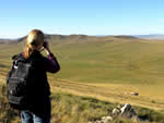 Dr. Kate Jenks observing wild Takhi in Hustai National Park, Mongolia