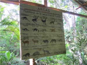 Guatemala-2