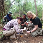 Collecting carnivore scat_Thailand