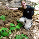Elephant feces_Thailand2