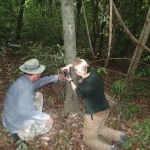 Kate setting up camera trap