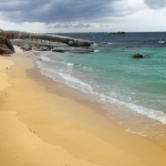 Natural African penguin habitat off the coast of South Africa
