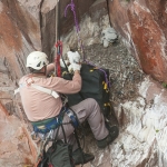 Climber with Chicks at North Shore