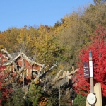 Fall10