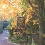Fall9