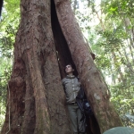 Camille Coudrat in the forest of Laos © Project Anoulak