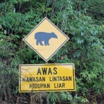 A Malayan tapir-themed road sign warns drivers of a wildlife crossing area.