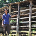 A villager stands next to his cattle Tiger-Proof Enclosure