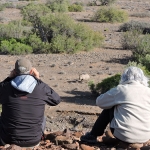 Tourists view a black rhino from a distance.  