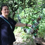 Melissa Bilong, a researcher with the WCS Human-Elephant Conflict mitigation project, demonstrates how aluminum cans shake and a siren blares when elephants run into a metal wire that surrounds the agricultural field.