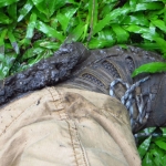 muddy-boot