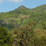 Salak Pra Wildlife Sanctuary, Thailand (Photo:  N. Songsasen)