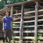 A villager stands next to his tiger-proof livestock enclosure. Built in 2012, it holds ten cattle. Tiger-proof livestock enclosures are highly successful in preventing tiger attacks.
