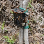 Wildlife Response Units sometimes place camera traps near areas of tiger-human conflict to monitor for tiger activity.