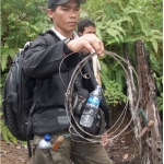 Snares are primarily set to catch wild boar and deer, but they can also trap tigers.