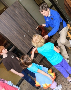 Volunteer