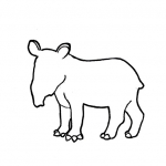 baby-tapir