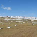 Hustai National Park, Mongolia.  Photo by Dr. Kate Jenks