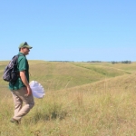 Minnesota Zoo scientists are working to understand the health of the prairies that butterflies and other pollinators depend on.