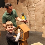 You can help critically endangered blue-throated macaws with a donation at our Bird Show!