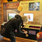 In the Russia’s Grizzly Coast Conservation Cabin, Zoo guests have donated nearly $60,000 since 2008 in support of sea otter, brown bear, and big cat conservation!