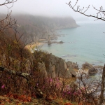 A plan has been approved to reintroduce the offspring of zoo-bred Amur leopards to Lazovsky Nature Reserve (pictured here) in the Russian Far East.