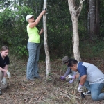 Team members Dr. Kate Jenks (Minnesota Zoo), Jennifer Buff (Smithsonian Conservation Biology Institute volunteer), Dr. Warisara Thomas (Zoological Park Organization of Thailand), and Dr. SaNae (Thailand Department of National Parks, Wildlife, and Plant Conservation) prepare a site to attract dholes. This includes securing a transmitter high in a tree. Photo by Dr. Nucharin Songsasen (Smithsonian Conservation Biology Institute)