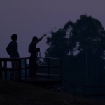 Someone is always up at any time of the day or night to check the radio receiver, listening for the tell-tale, rapid beeping that indicates whether or not one of traps has been sprung. The team, which always includes a veterinarian, is ready to leap into action at any moment to ensure the smallest amount of time possible that any animal is in a trap. Photo by Dr. Nucharin Songsasen (Smithsonian Conservation Biology Institute)