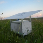 Release box containing Dakota skipper pupae