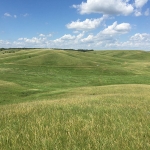 The rolling Hole-in-the-Mountain Prairie Preserve, near Lake Benton, MN. This rich prairie is home to iconic prairie wildlife, and once had large populations of Dakota skippers and other now vanishing prairie butterflies. 