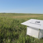 The release box, safely housing hundreds of Zoo-reared Dakota skipper pupae. This box was checked every day for three weeks by Zoo staff to release new adults as they emerged.