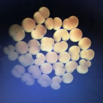 Two hours later, confirmed fertilization. Embryo development begins!