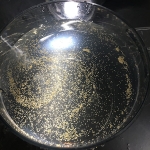 Eggs and sperm mixed together. An hour later and they were fertilized, as proven through the microscope and seeing cell division. 