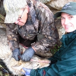 John Hart (volunteer) and Dr. Kate Jenks (Minnesota Zoo Conservation Biologist) take body measurements of an anesthetized wolf in Hustai National Park, Mongolia. Photo by Uuganbayar Ganbold