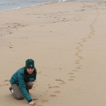 Dr. Tara Harris currently serves as the Minnesota Zoo’s Vice President for Conservation; here she inspects tiger tracks in the Russian Far East