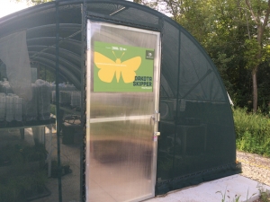 A tent like structure that resembles a green house with mesh walls. Inside there are hundres of Dakota Skippers waiting to be released into the prairie.